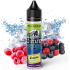 Steam Train Old Stations Delizia Double Ice 60ml