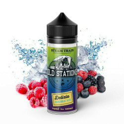 Steam Train Old Stations Delizia Double Ice 24ml/120ml